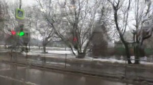 Москва, автобус 686, участок Улица Авиаторов 10 - Улица Щорса 4