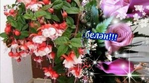 Туган көнең белән!