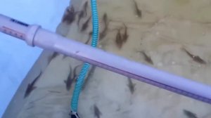 #20 СЕЛЬСКОЕ ХОЗЯЙСТВО. Экономика