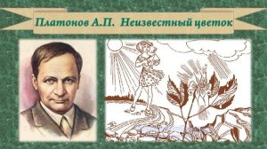 Платонов А.П. Неизвестный цветок