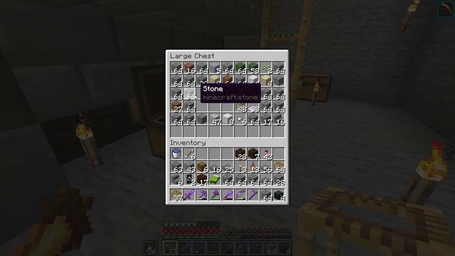 Minecraft - Assassin's Creed Underground Base - EP 204 (1.16) - Stickz Plays Minecraft S2 смотреть онлайн