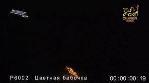 Р6002(Цветная бабочка)