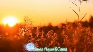 Одинокий вечер