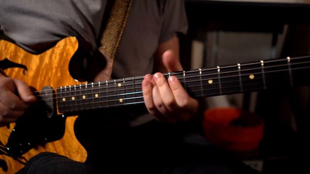 Walsh Guitars Yadah + McNelly Bean pickups + Vintage Fender Champ смотреть онлайн