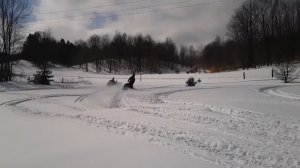 Arctic cat pantera bashing