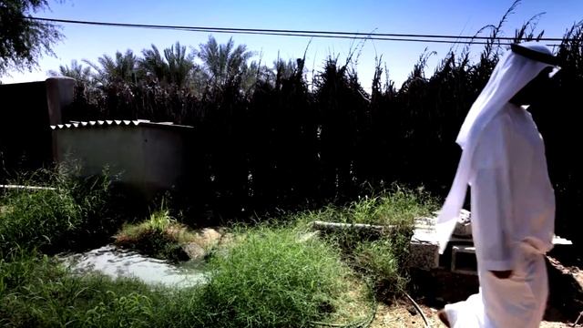 PEDROLLO - Dubai смотреть онлайн