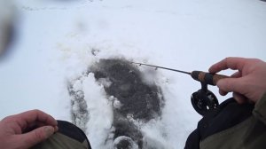 Ловля судака зимой на вибы!! Еще один замечательный день!!
