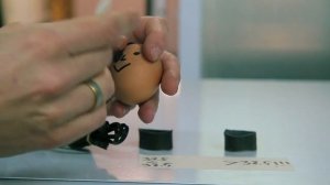 Как подготовить инкубатор NBF к работе - первое включение и распаковка.