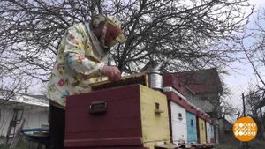 Пчелки проснулись! Доброе утро. Фрагмент выпуска от 07.04.2020