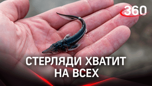 Как экологическая акция объединила нефтяников и рыбоводов?