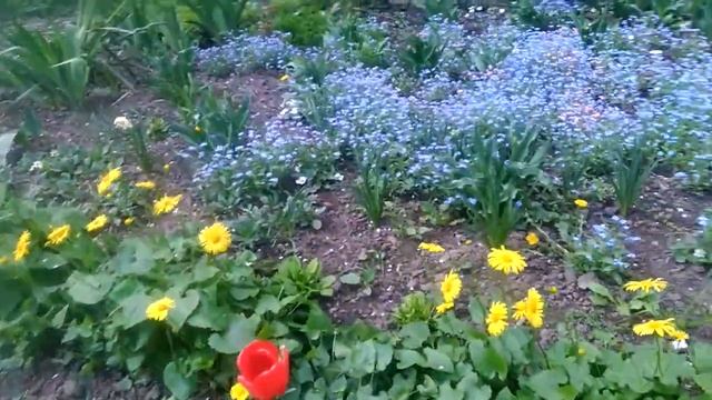 Зразок квітника 1 Міська клумба з квітів Квітник весняний Квіткова композиція