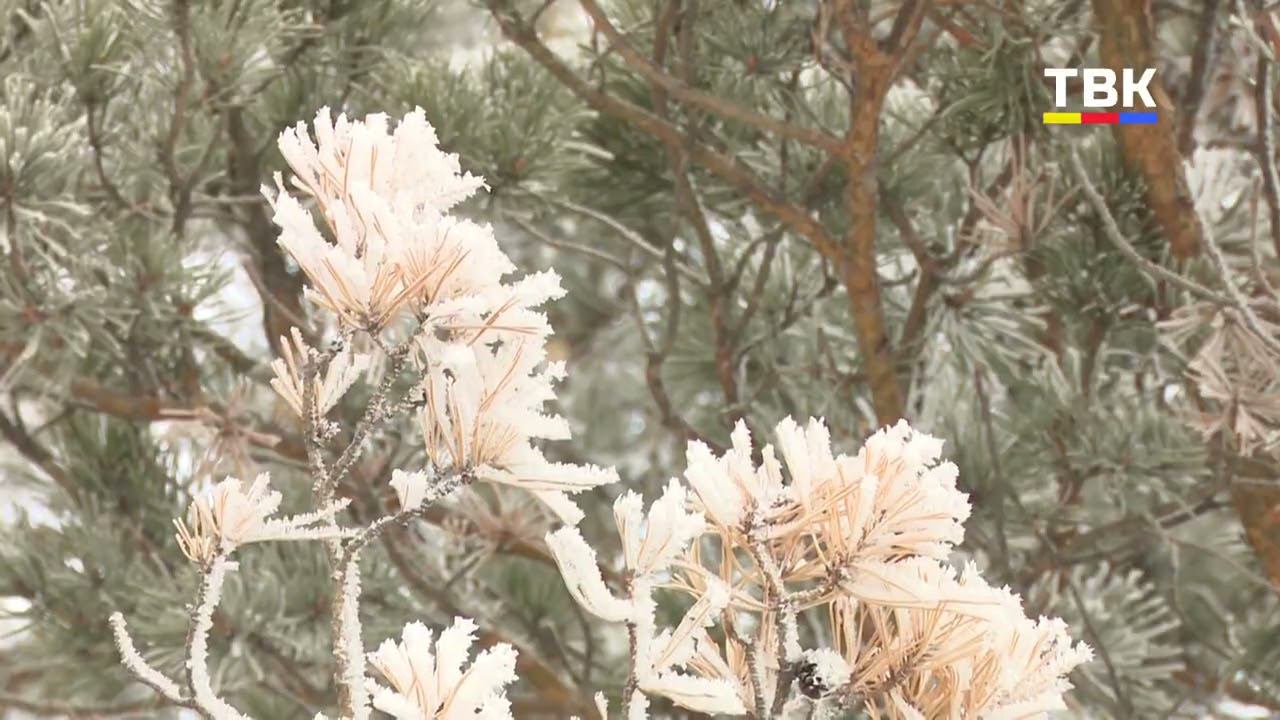 На смену морозной погоде вскоре придёт ощутимое потепление