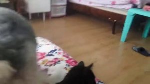 чёрная пума снова с вами, друг пумы показался на камеру