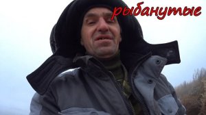 Чудо-Озеро Удомля. Ловим Телапию на теплом сливе с АЭС. Попал на стайку Телапии. Рыбалка 2022. Фиде