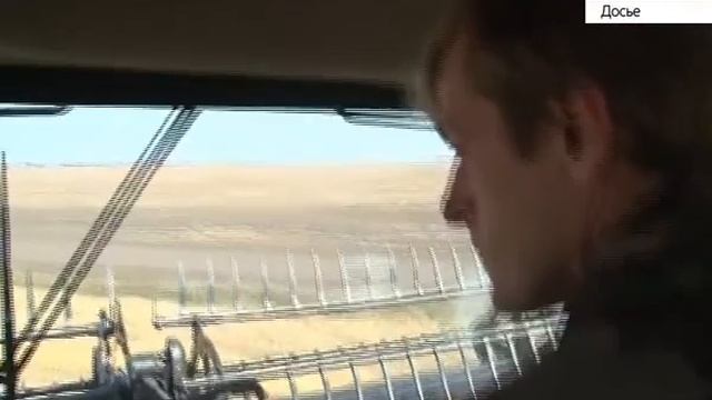 В регионах России растет спрос на алтайскую пшеницу смотреть онлайн