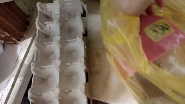 VLOG... СМОТРИМ ЦЕНЫ, ПОКУПКИ, ФИКСПРАЙС. смотреть онлайн