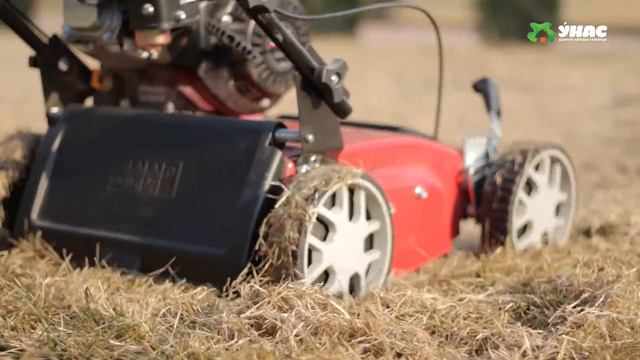 Уход за газоном после зимы смотреть онлайн