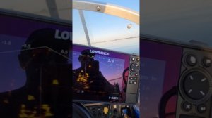 Датчик живого сонара Lowrance LiveSight. КАК ЭТО РАБОТАЕТ!