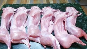 Вид тушки, вес тушки кролика. Это не кролики - это поросята.