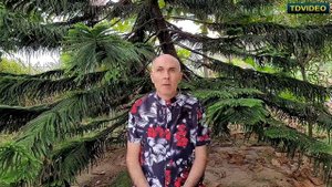 Сколько нужно денег для проживания в Эквадоре? Стоимость жизни в Эквадоре. #194