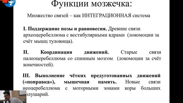 Анатомия.  Мозжечок, средний мозг.