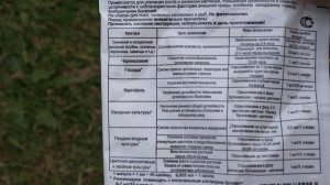 СКРУЧИВАЮТСЯ ЛИСТЬЯ У ТОМАТОВ? Можно очень просто все исправить!