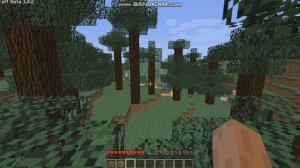 Minecraft beta 1.8.2