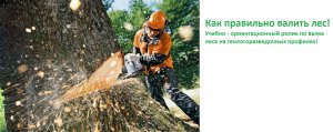 Как правильно валить лес!