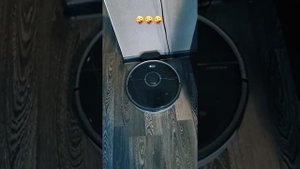 УМНАЯ КОЛОНКА АЛИСА VS РОБОТ ПЫЛЕСОС.РАЗГОВОР ПО ДУШАМ угар