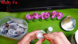 Раскрашиваем ракушки