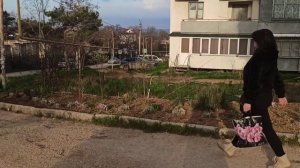 Севастополь, Нахимовский район,пгт Любимовка*