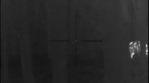 Охота на крупного кабана с тепловизором Pulsar Trail XQ38 LRF