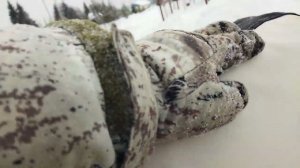 28 января 2022 г.