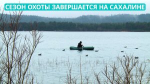 Сезон охоты завершается на Сахалине. Пернатую дичь можно добывать вплоть до 10 мая