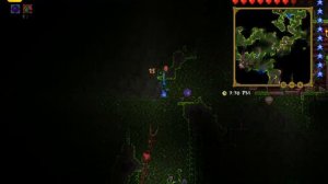 Ищем пчелиный улей в Terraria