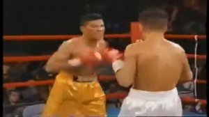 Arturo Gatti VS. Wilson Rodriguez