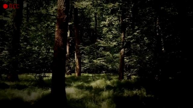Страшные истории на ночь - ОХОТНИЧЬИ РАССКАЗЫ У КОСТРА. Мистические байки про нечисть. (А.Агурина)