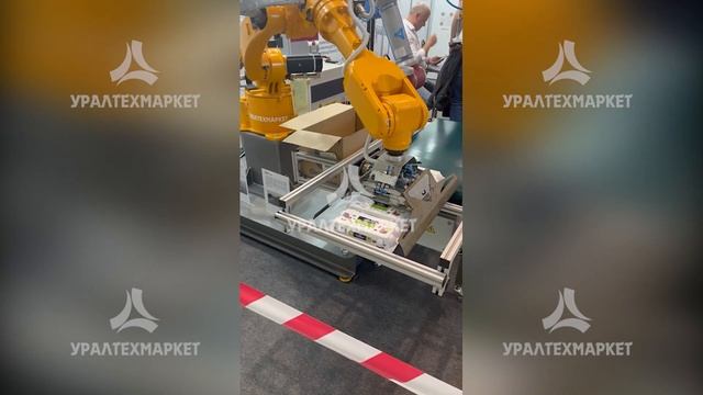 Автоматизация укладки пачек (лотков) с яйцами в короба