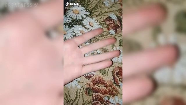 Тик Ток подборка [ 14 ] | Драконья Сага | Tik Tok compilation | Wings of Fire | G R E A T N E S S ツ смотреть онлайн