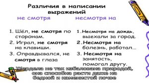 В чем разница между жерделой и абрикосом?