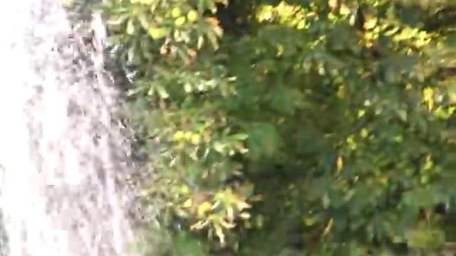 MARIUS LELA - BRICENI MOLDOVA 2016 смотреть онлайн