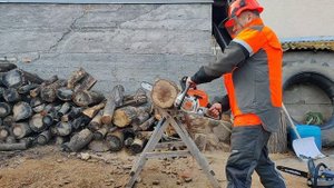 Stihl MS 181 vs. Villager 3920.