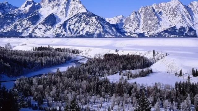 Семья Колесниковых/Обзор.