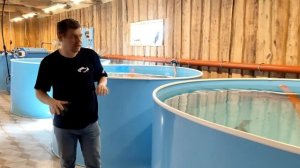 Какие бывают нюансы с уровнем полов в УЗВ #рыба #узв #бизнесвдеревне