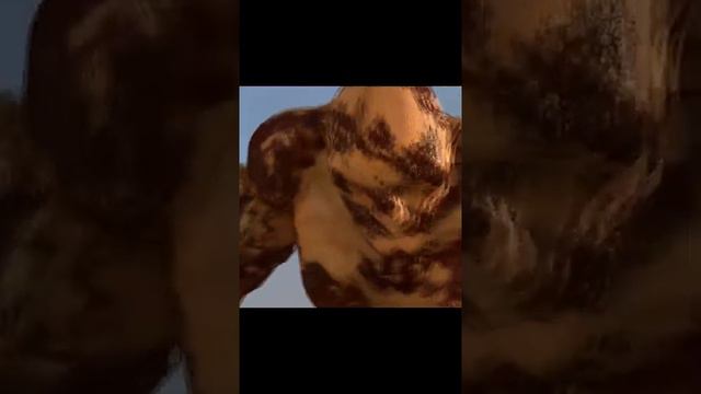 Довакин в Warhammer #Shorts смотреть онлайн