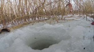 Как поймать карася на мормышку зимой? Лучшие советы от бывалых рыбаков!