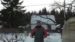 Обрезка - цена. Сколько стоит обрезка деревьев в Подмосковье?