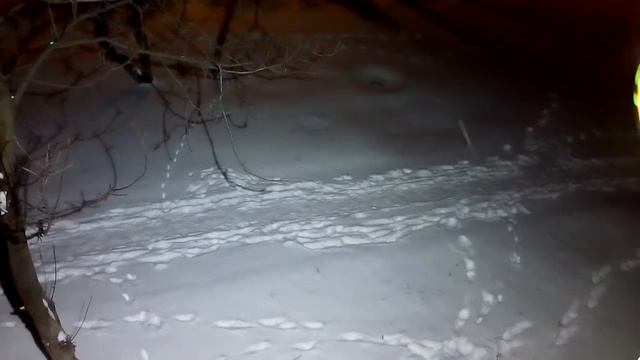 Тестируем фото/ видео свет для подводной съемки смотреть онлайн