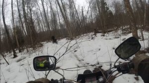 Три мотоцикла по заснежанному лесу - возвращение