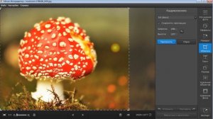 Как обрезать фото на компьютере | Обрезать фото за 5 сек